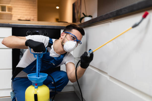 Reliable Grayslake, IL Pest Control Solutions