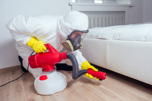 Best Affordable Pest Control Services  in Grayslake, IL