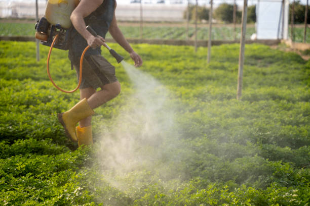 Best Residential Pest Control  in Grayslake, IL