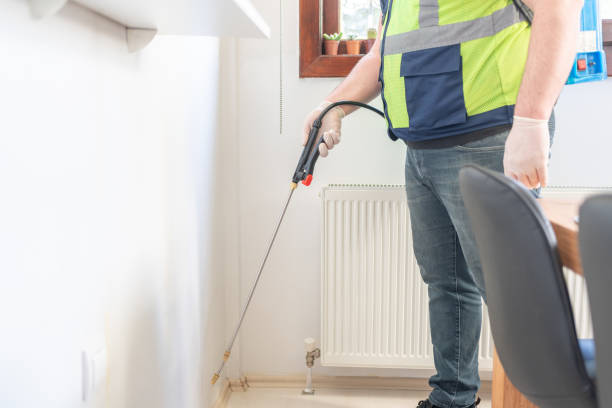 Best Wasp Removal Services  in Grayslake, IL