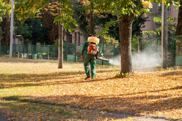 Best Pest Control Near Me  in Grayslake, IL